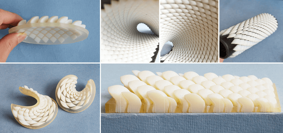 biologically-inspired-lessons-chiton-scales-design-flexible-armors-6 biologically-inspired-lessons-chiton-scales-design-flexible-armors-6